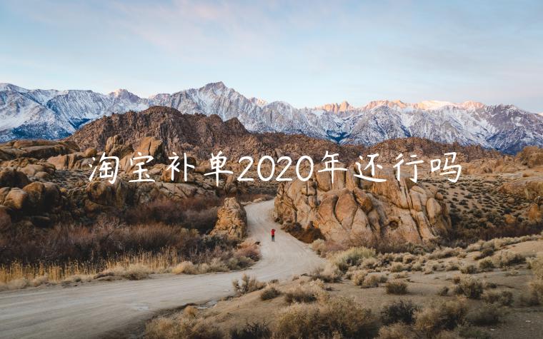 淘寶補(bǔ)單2023年還行嗎